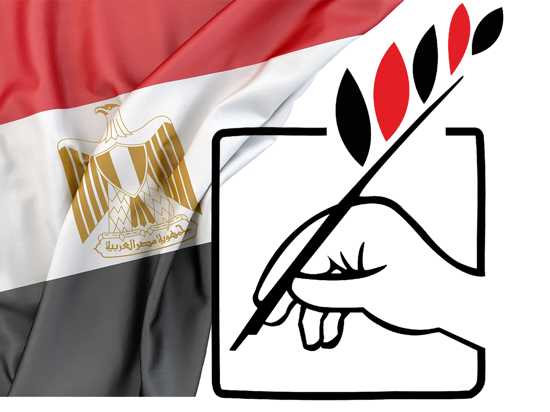 جمعية اجواء مصرية