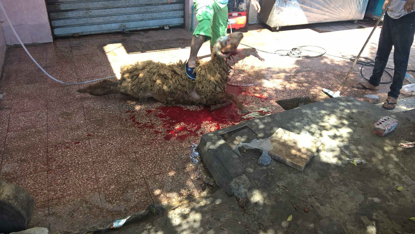 WP_20160911_13_19_33_Pro