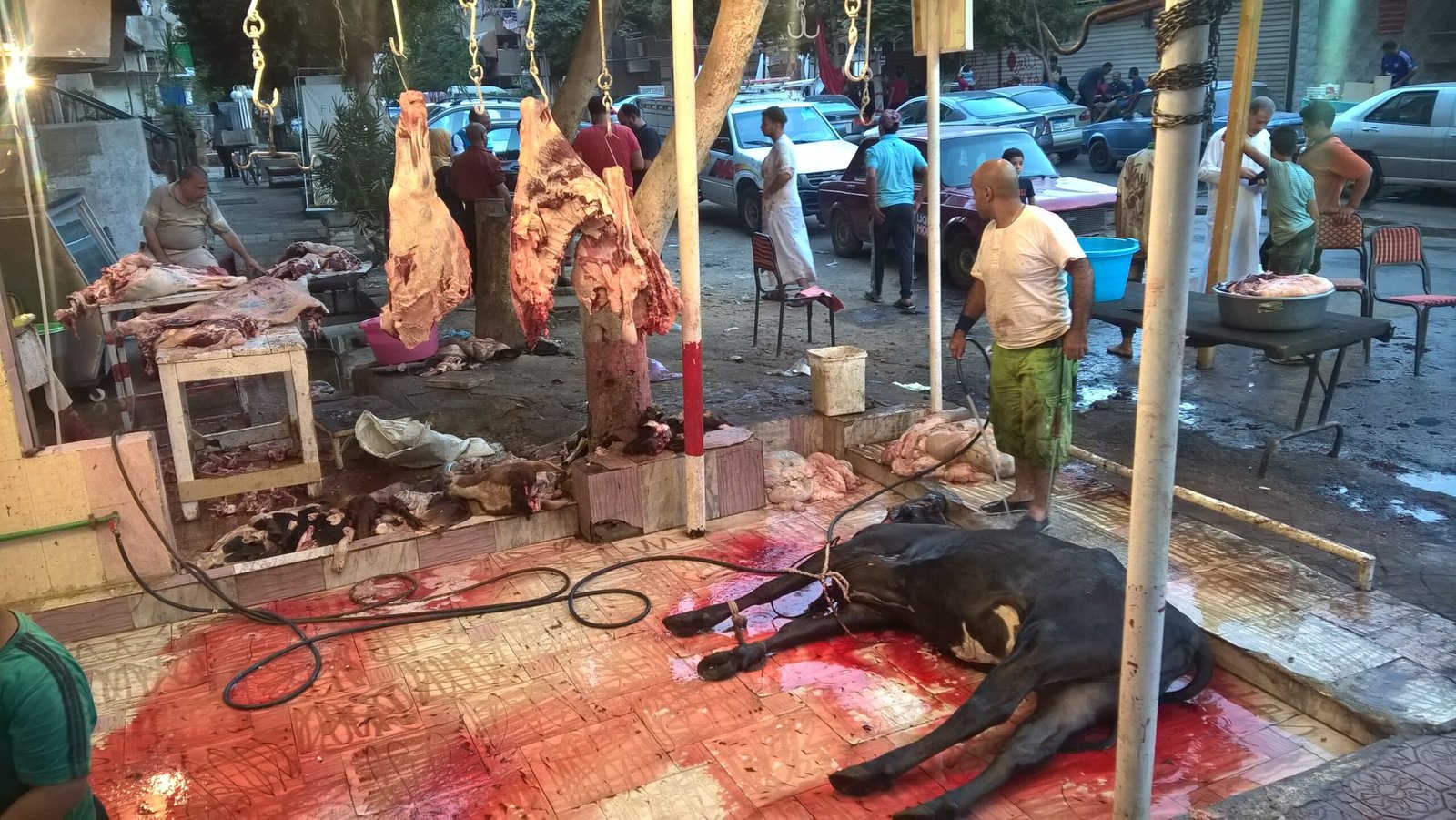 WP_20160912_17_58_27_Pro