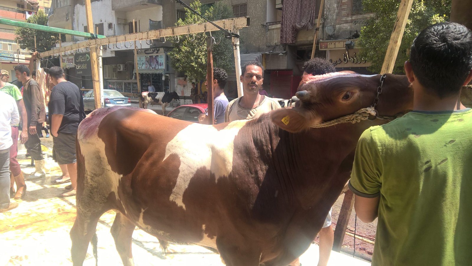 WP_20180823_11_36_57_Pro